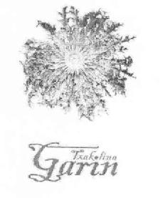 Imagen de TXAKOLINA GARIN