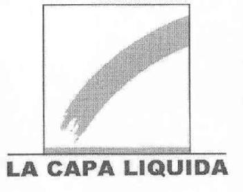Imagen de LA CAPA LIQUIDA