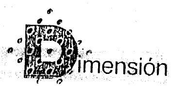 Imagen de DIMENSION