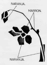 Imagen de M2490077(X)