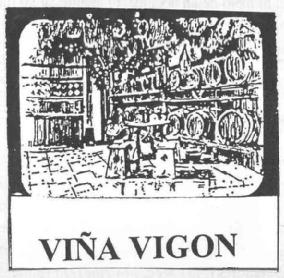 Imagen de VIÑA VIGON
