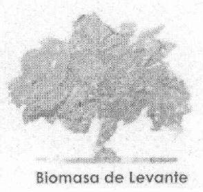 Imagen de BIOMASA DE LEVANTE