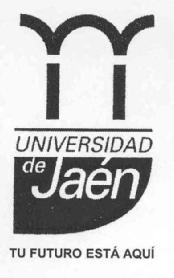 Imagen de UNIVERSIDAD DE JAEN TU FUTURO ESTA AQUI
