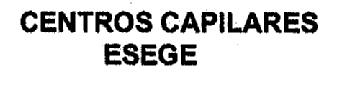 Imagen de CENTROS CAPILARES ESEGE