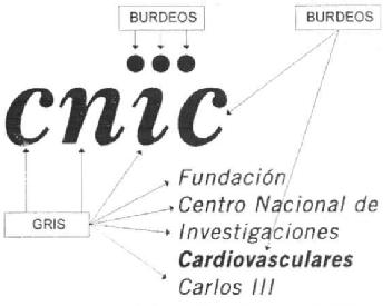 Imagen de CNIC FUNDACION CENTRO NACIONAL DE INVESTIGACIONES CARDIOVASCULARES CARLOS III