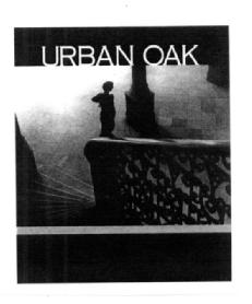 Imagen de URBAN OAK
