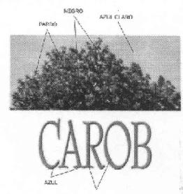 Imagen de CAROB