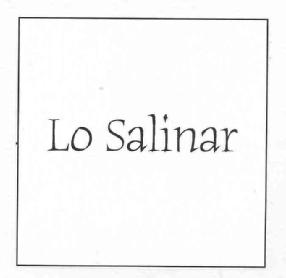 Imagen de LO SALINAR