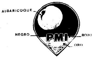 Imagen de PMI