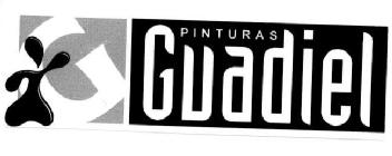 Imagen de PINTURAS GUADIEL