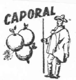 Imagen de CAPORAL