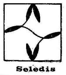 Imagen de SELEDIS