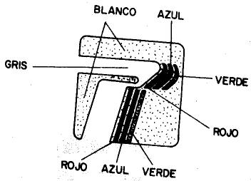 Imagen de T