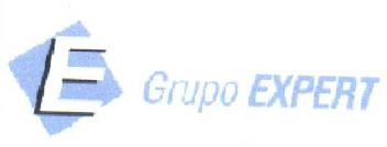 Imagen de E GRUPO EXPERT