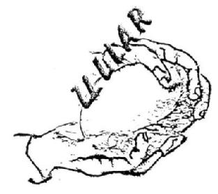 Imagen de ULLAR