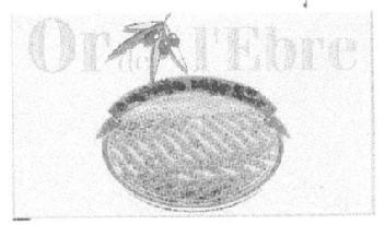 Imagen de OR DE L' EBRE