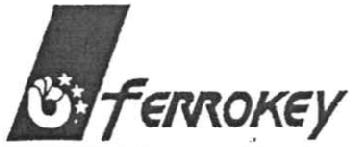 Imagen de FERROKEY