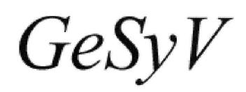 Imagen de GESYV
