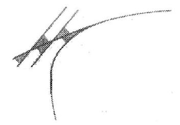 Imagen de M2505494
