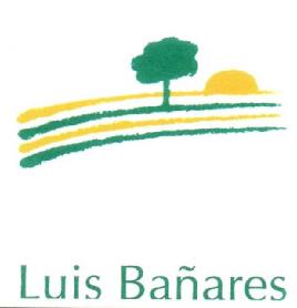 Imagen de LUIS BAÑARES