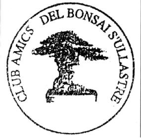 Imagen de CLUB AMICS DEL BONSAI S'ULLASTRE