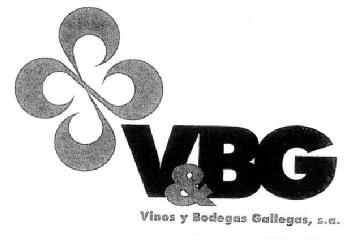 Imagen de V&BG VINOS Y BODEGAS GALLEGAS, S.A