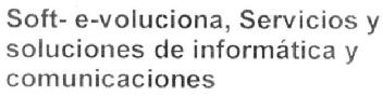 Imagen de SOFT- E-VOLUCIONA, SERVICIOS Y SOLUCIONES DE INFORMATICA Y COMUNICACIONES