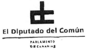 Imagen de DC EL DIPUTADO DEL COMUN PARLAMENTO DE CANARIAS