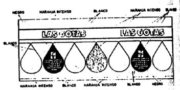 Imagen de LAS GOTAS