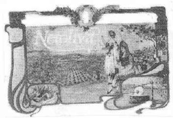 Imagen de NETOLIVA
