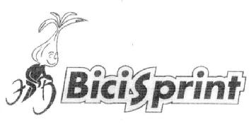 Imagen de BICISPRINT