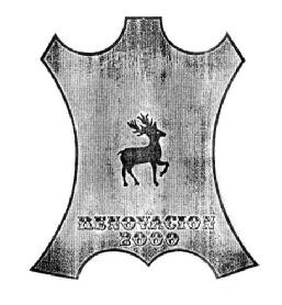 Imagen de RENOVACION 2000