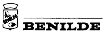 Imagen de BENILDE
