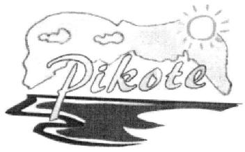 Imagen de PIKOTE