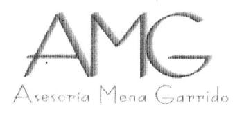 Imagen de AMG ASESORIA MENA GARRIDO