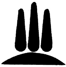 Imagen de M1675285