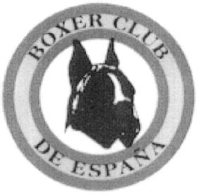 Imagen de BOXER CLUB DE ESPAÑA