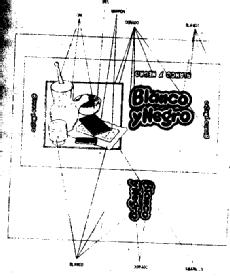 Imagen de BLANCO Y NEGRO