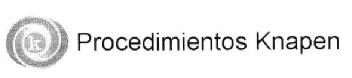 Imagen de PROCEDIMIENTOS KNAPEN