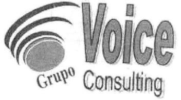 Imagen de VOICE GRUPO CONSULTING