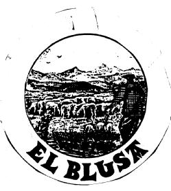 Imagen de EL BLUSA