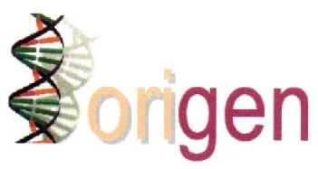 Imagen de ORIGEN
