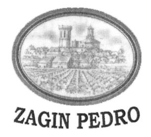 Imagen de ZAGIN PEDRO
