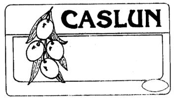 Imagen de CASLUN