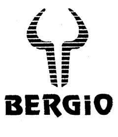 Imagen de BERGIO