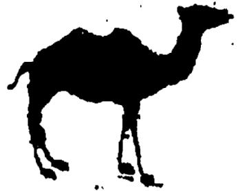 Imagen de M1614243