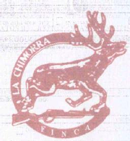 Imagen de FINCA LA CHIMORRA