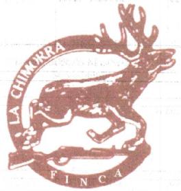 Imagen de FINCA LA CHIMORRA