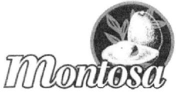 Imagen de MONTOSA