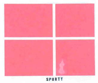 Imagen de SPORTY